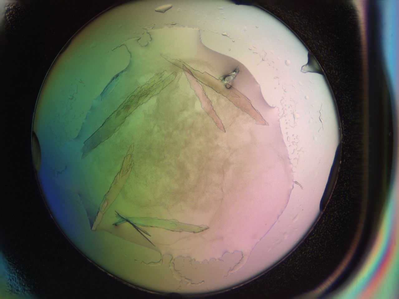 02nr_E1_ImagerDefaults_8.jpg