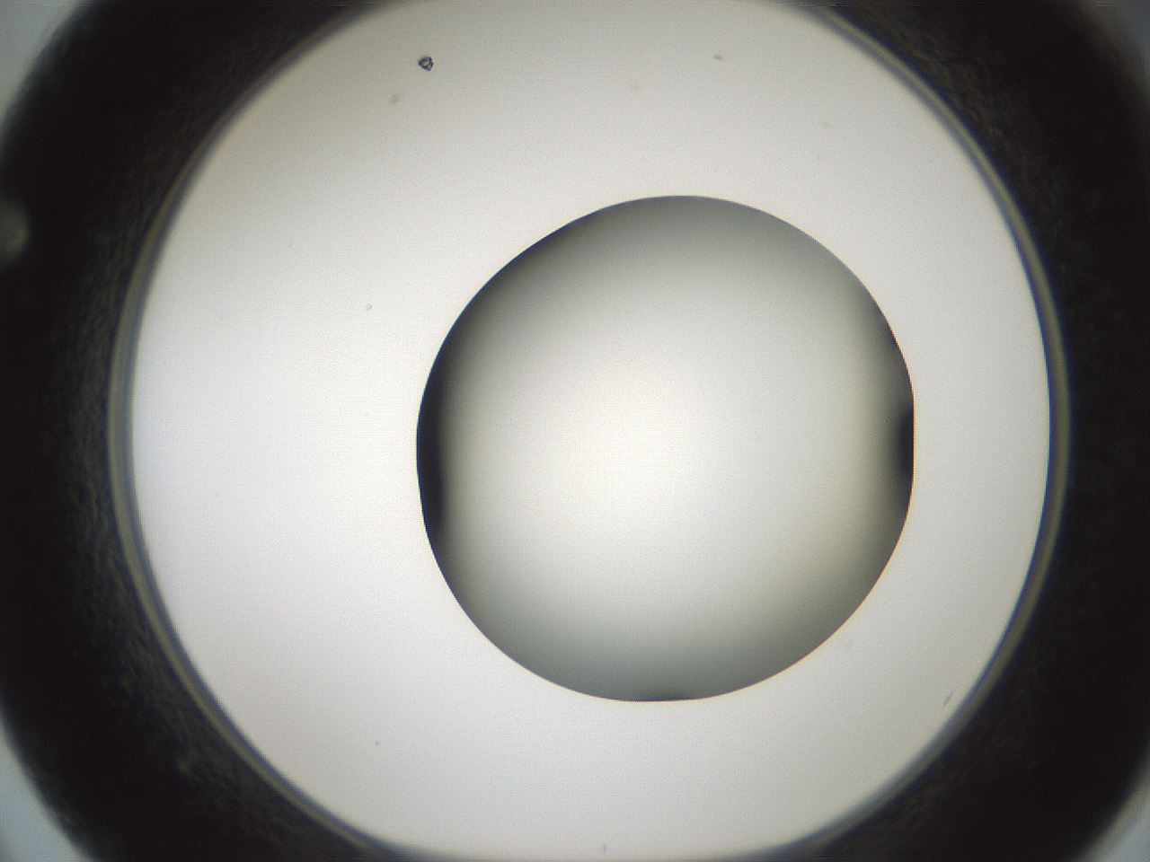 folderID598_plateID1598_batchID6731_wellNum62_profileID1_d1_r106670_ef.jpg
