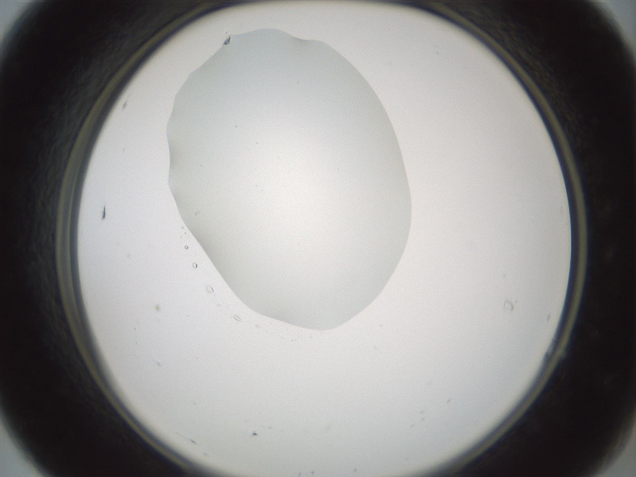 folderID598_plateID1598_batchID6731_wellNum7_profileID1_d2_r106561_ef.jpg