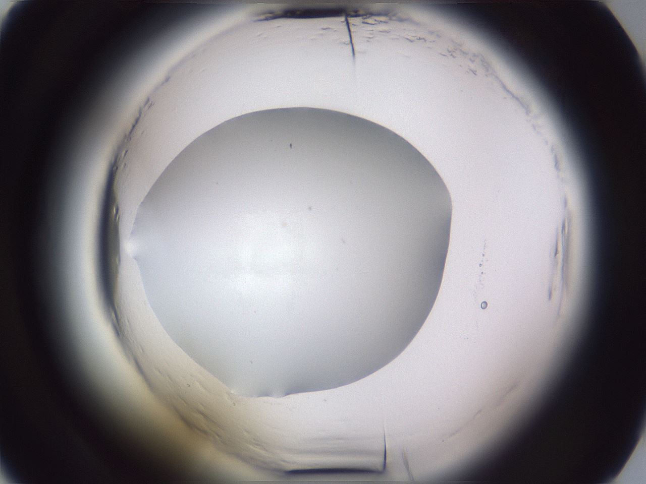 folderID598_plateID2598_batchID13155_wellNum13_profileID1_d2_r197326_ef.jpg