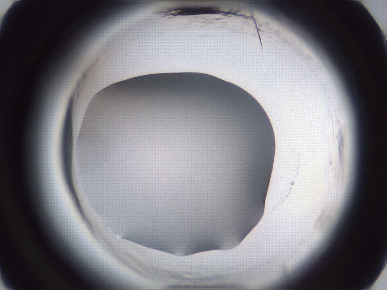 folderID598_plateID2598_batchID13155_wellNum13_profileID1_d3_r197327_ef.jpg