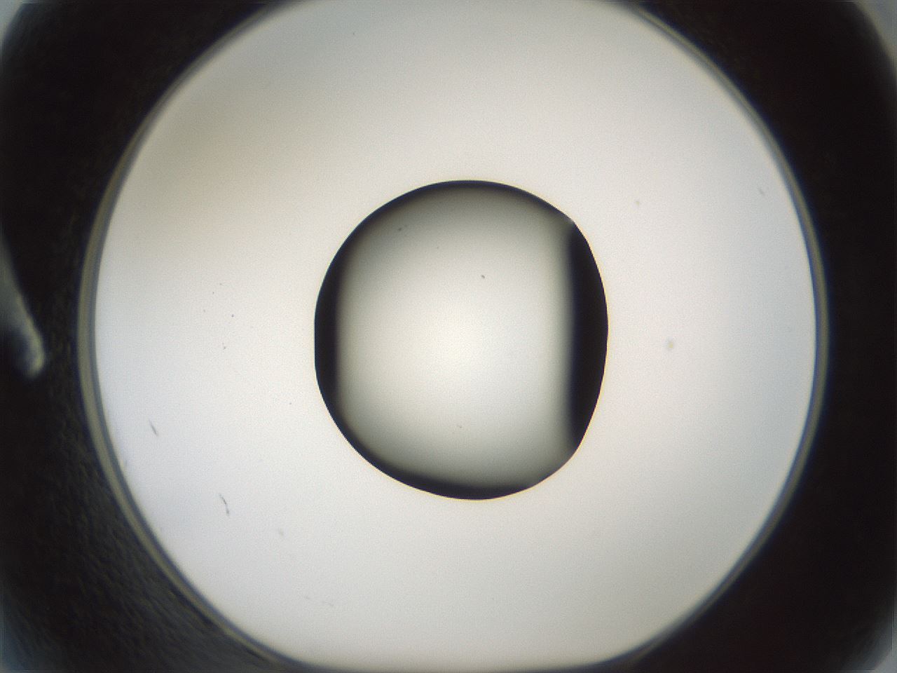 folderID598_plateID1598_batchID6731_wellNum2_profileID1_d1_r106550_ef.jpg