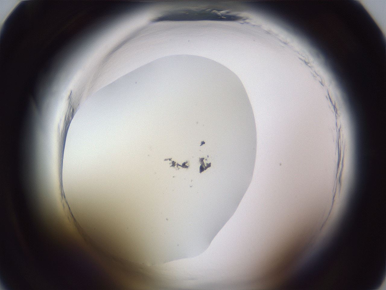 folderID598_plateID2598_batchID13155_wellNum22_profileID1_d1_r197352_ef.jpg