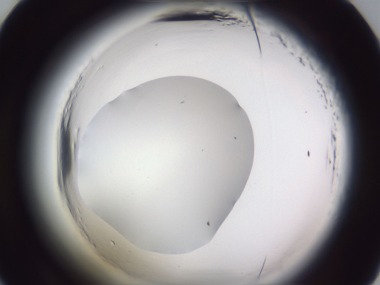 folderID598_plateID2598_batchID13155_wellNum33_profileID1_d2_r197386_ef.jpg