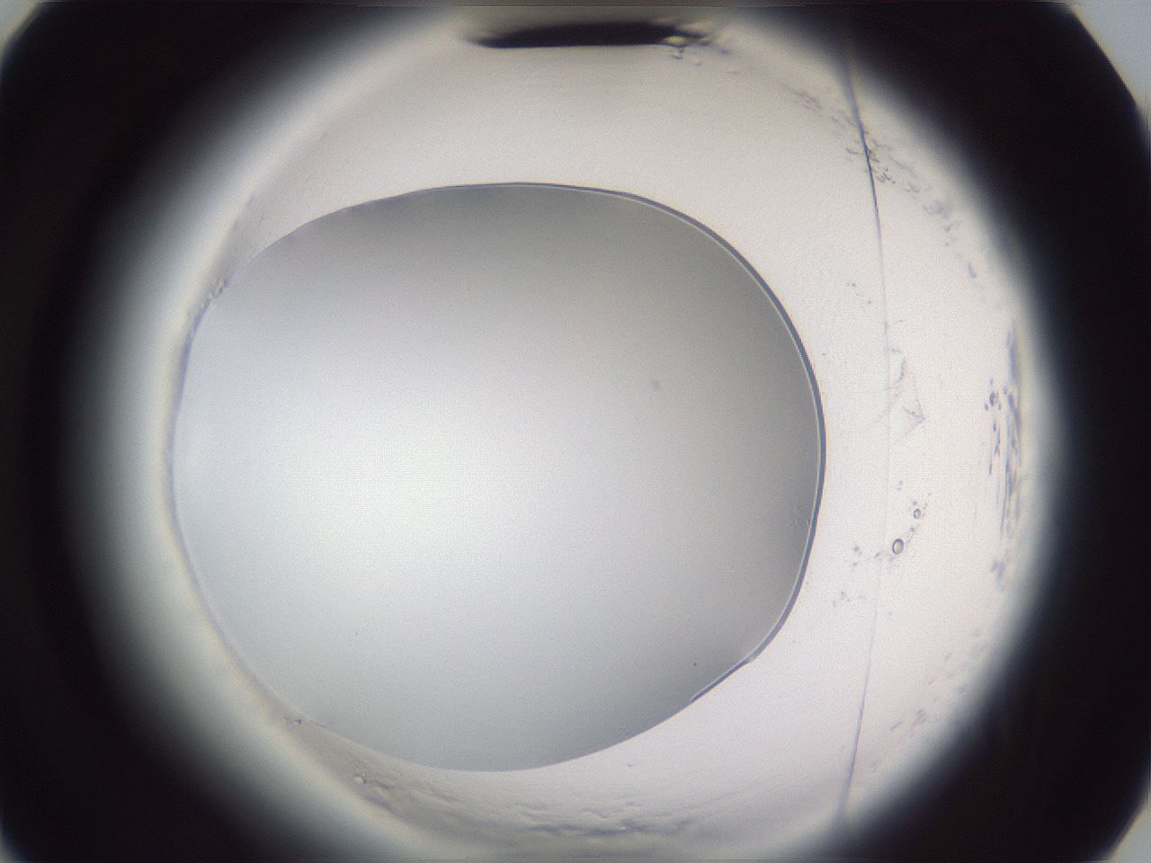 folderID598_plateID2598_batchID13155_wellNum39_profileID1_d3_r197405_ef.jpg