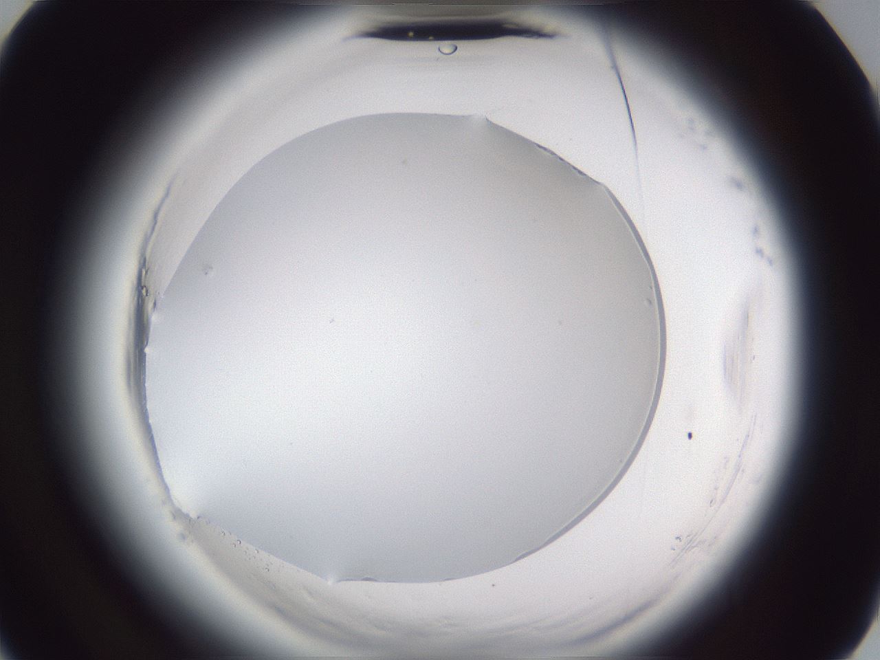 folderID598_plateID2598_batchID13155_wellNum41_profileID1_d3_r197411_ef.jpg