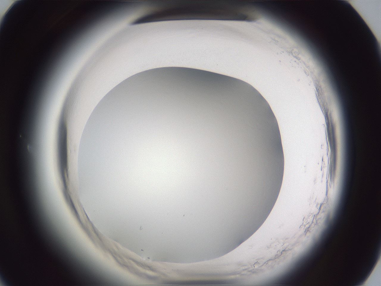 folderID598_plateID2598_batchID13155_wellNum61_profileID1_d1_r197469_ef.jpg