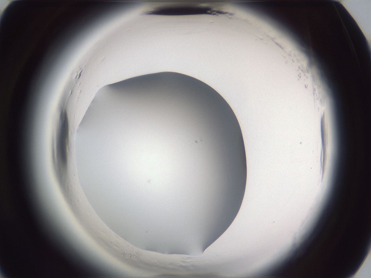 folderID598_plateID2598_batchID13155_wellNum63_profileID1_d3_r197477_ef.jpg
