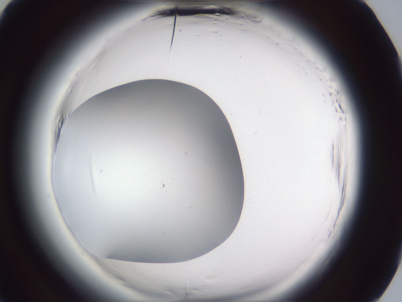 folderID598_plateID2598_batchID13155_wellNum89_profileID1_d3_r197555_ef.jpg
