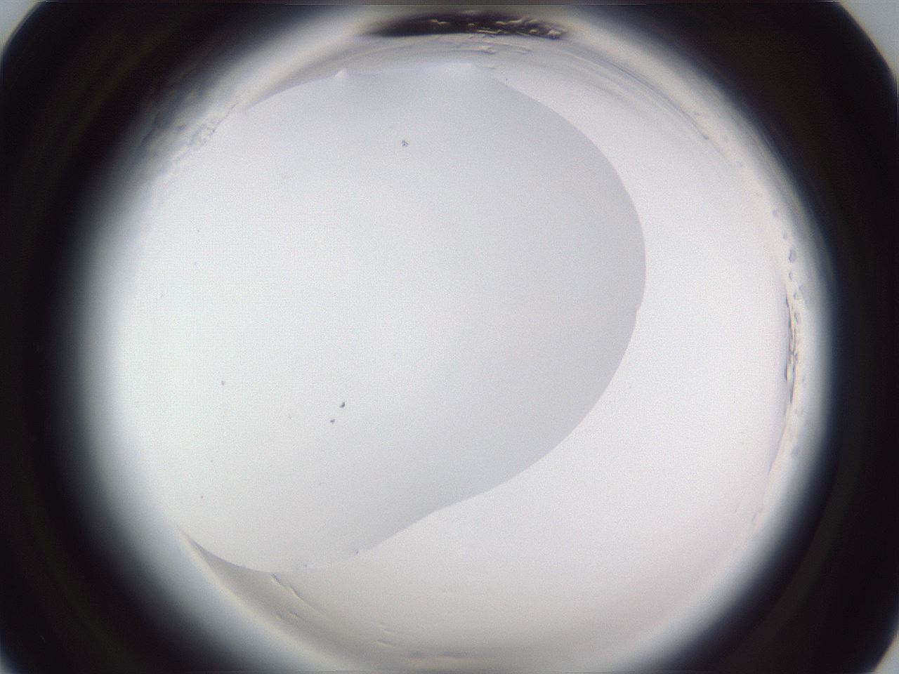 folderID598_plateID2598_batchID13155_wellNum8_profileID1_d1_r197310_ef.jpg