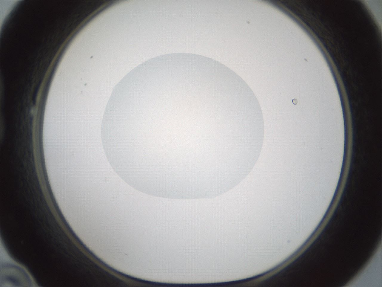 folderID599_plateID1599_batchID6728_wellNum22_profileID1_d1_r106014_ef.jpg