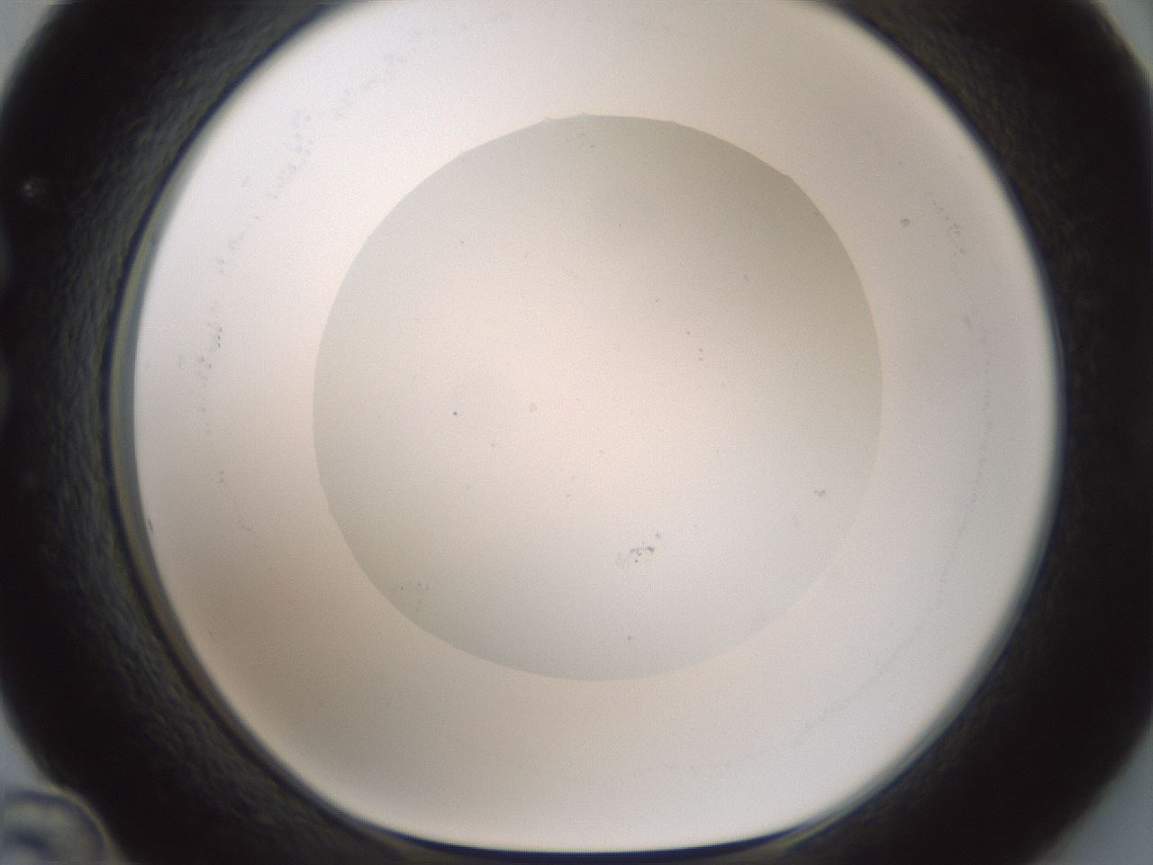 folderID599_plateID1599_batchID6728_wellNum36_profileID1_d1_r106042_ef.jpg