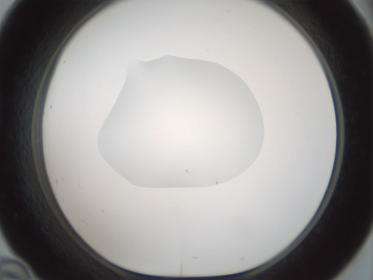 folderID599_plateID1599_batchID6728_wellNum46_profileID1_d1_r106062_ef.jpg