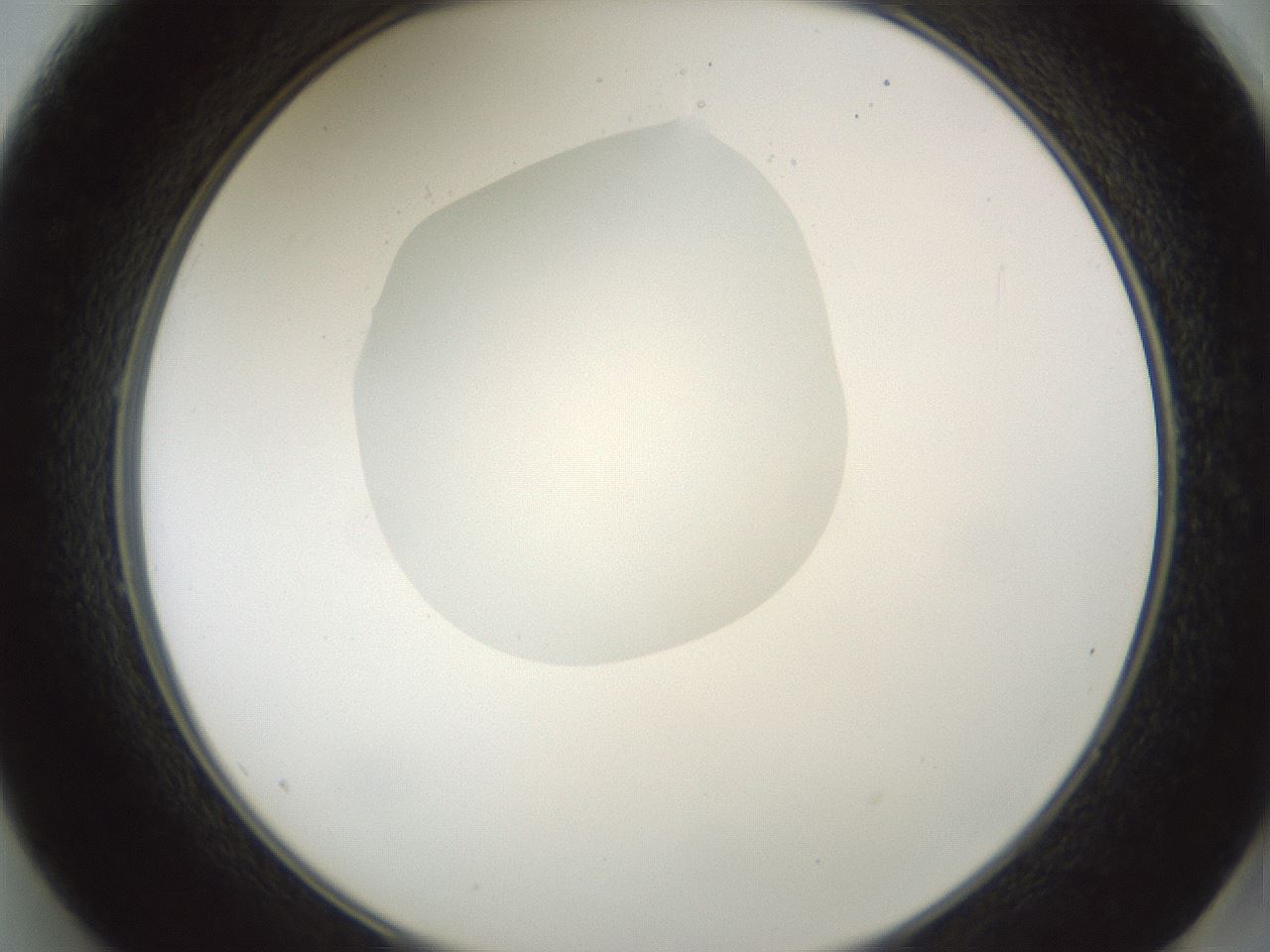 folderID599_plateID1599_batchID6728_wellNum49_profileID1_d2_r106069_ef.jpg