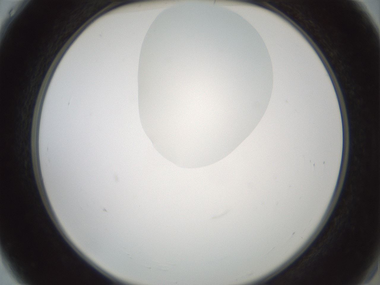 folderID599_plateID1599_batchID6728_wellNum4_profileID1_d2_r105979_ef.jpg