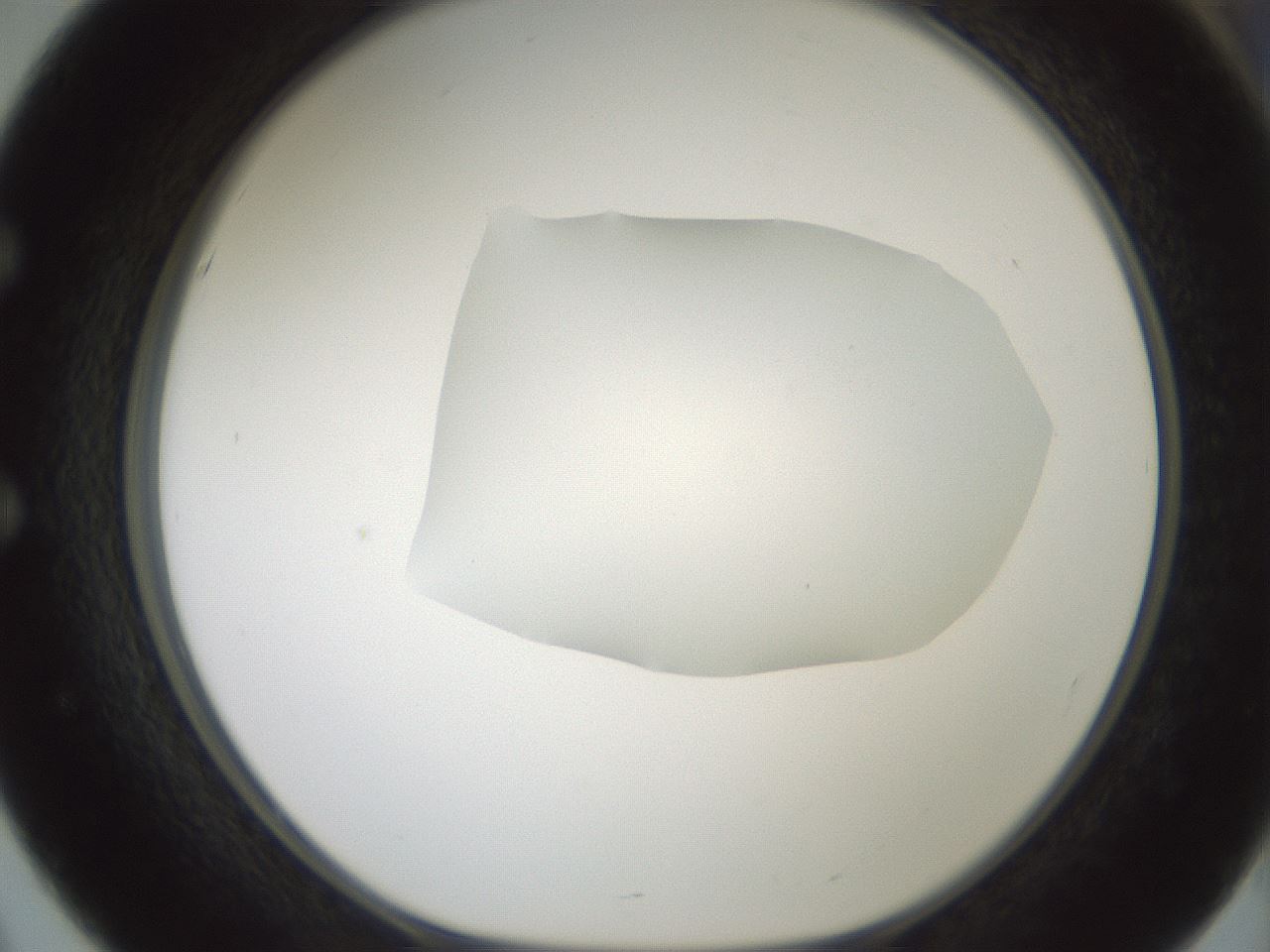 folderID599_plateID1599_batchID6728_wellNum51_profileID1_d1_r106072_ef.jpg