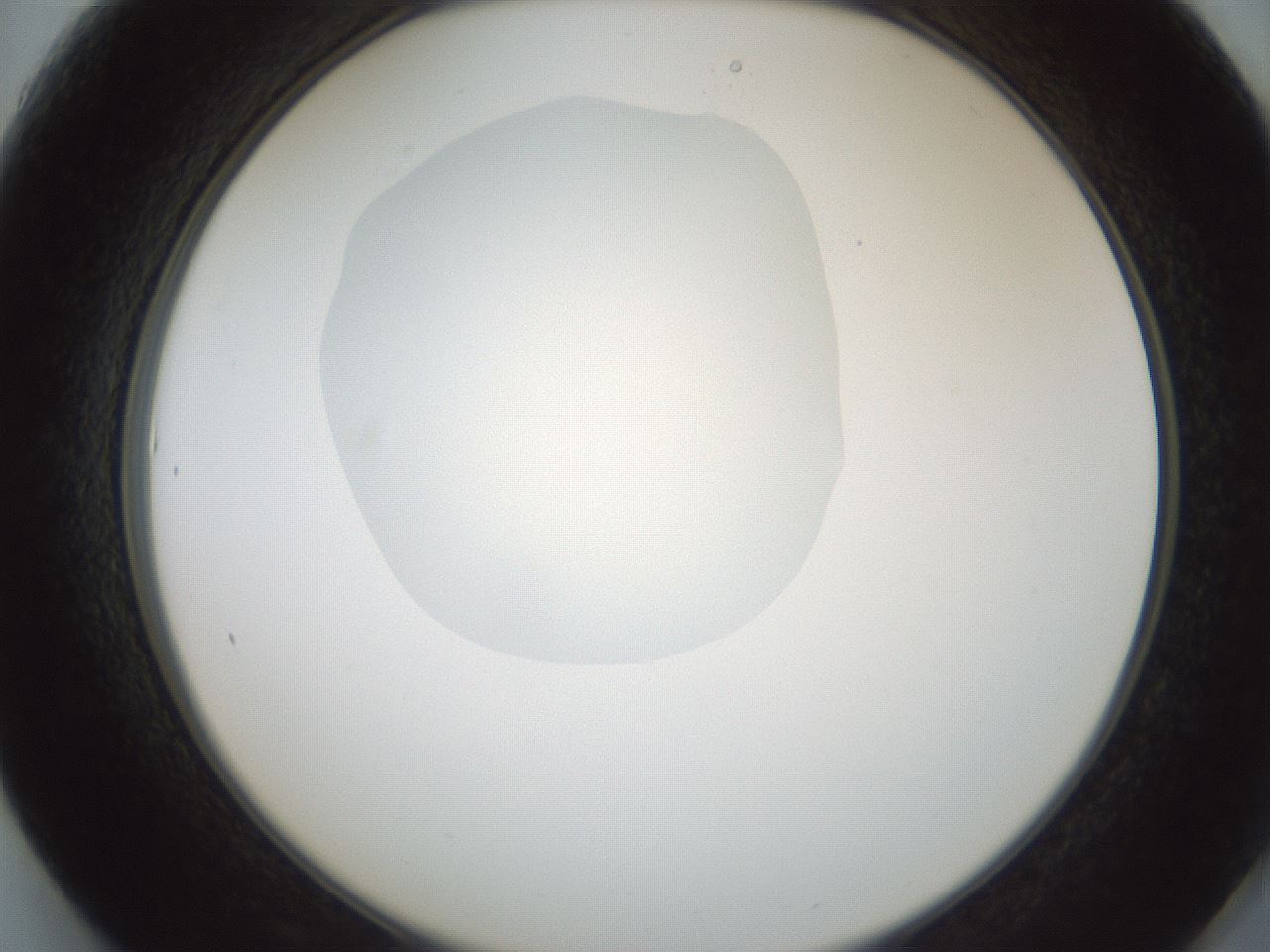 folderID599_plateID1599_batchID6728_wellNum61_profileID1_d2_r106093_ef.jpg