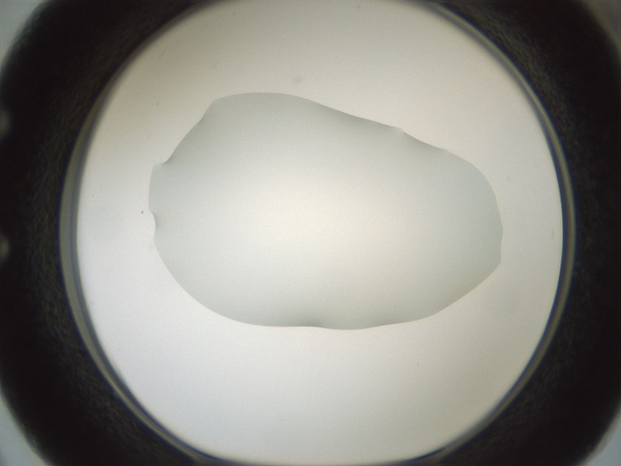 folderID599_plateID1599_batchID6728_wellNum50_profileID1_d1_r106070_ef.jpg