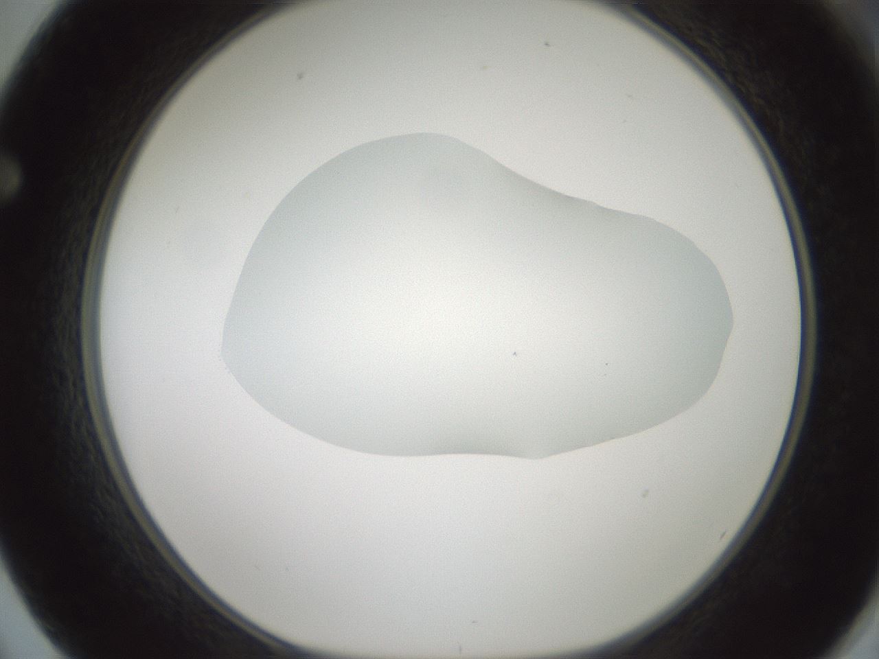 folderID599_plateID1599_batchID6728_wellNum62_profileID1_d1_r106094_ef.jpg