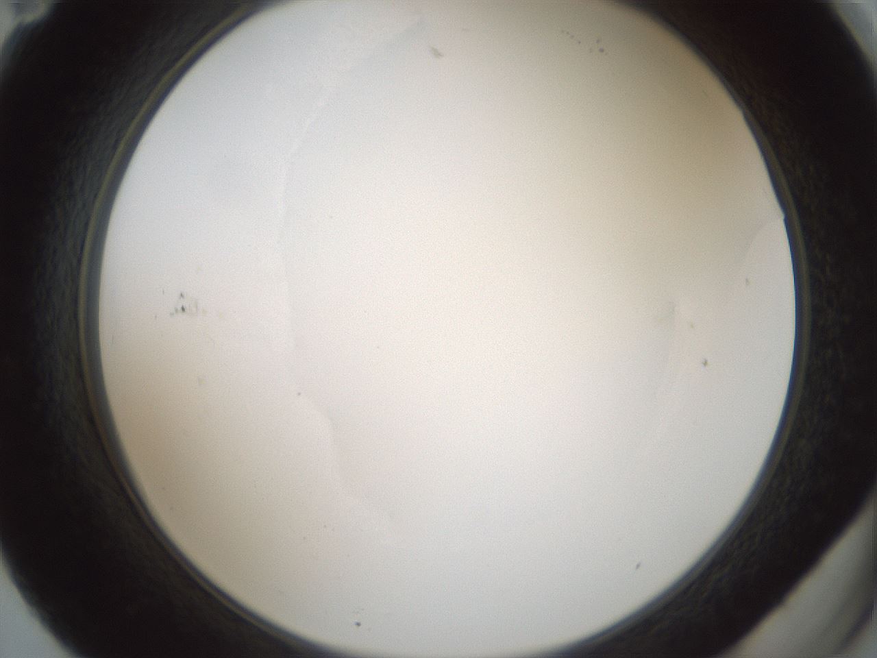 folderID599_plateID1599_batchID6728_wellNum71_profileID1_d2_r106113_ef.jpg