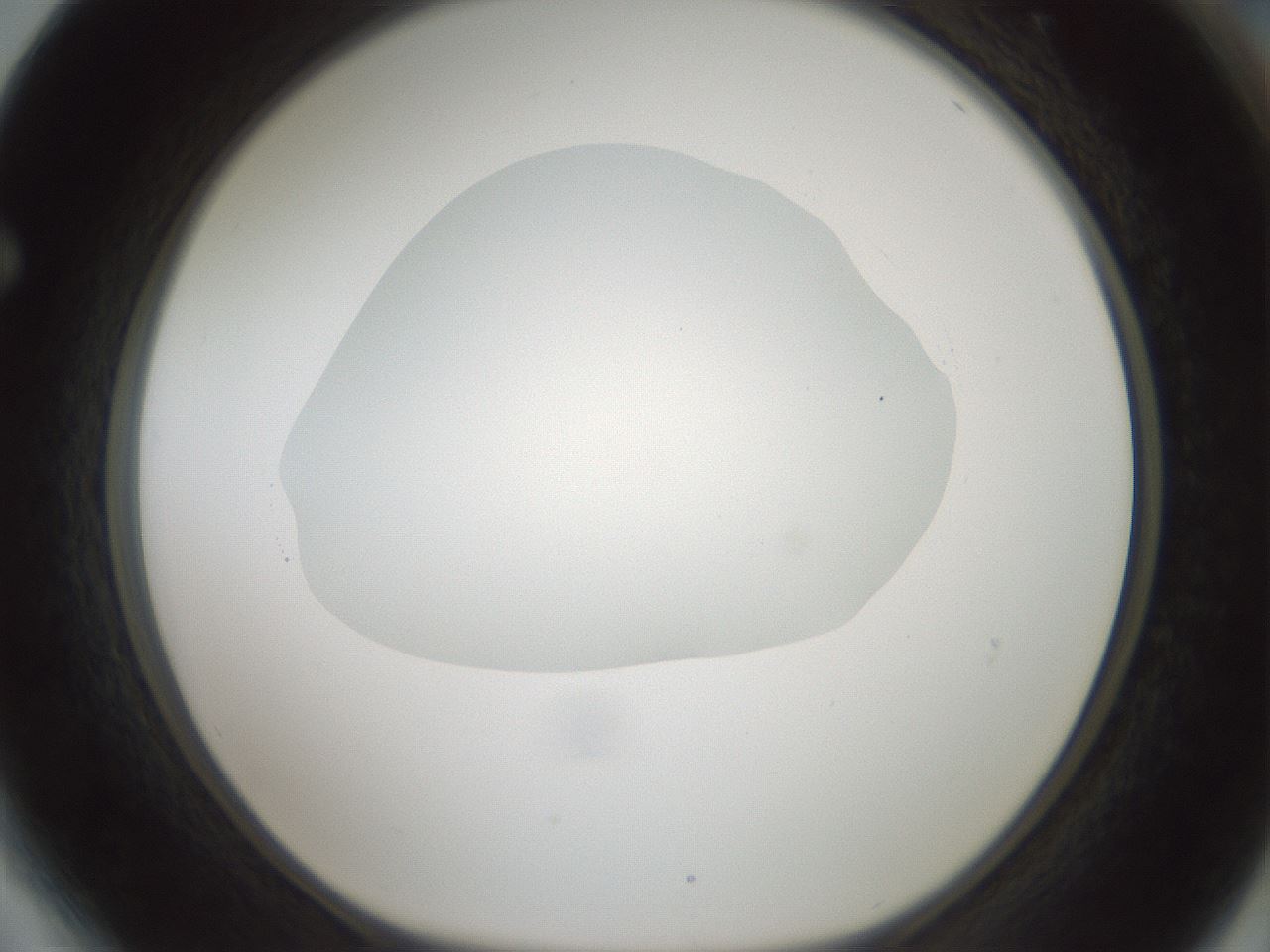 folderID599_plateID1599_batchID6728_wellNum64_profileID1_d1_r106098_ef.jpg