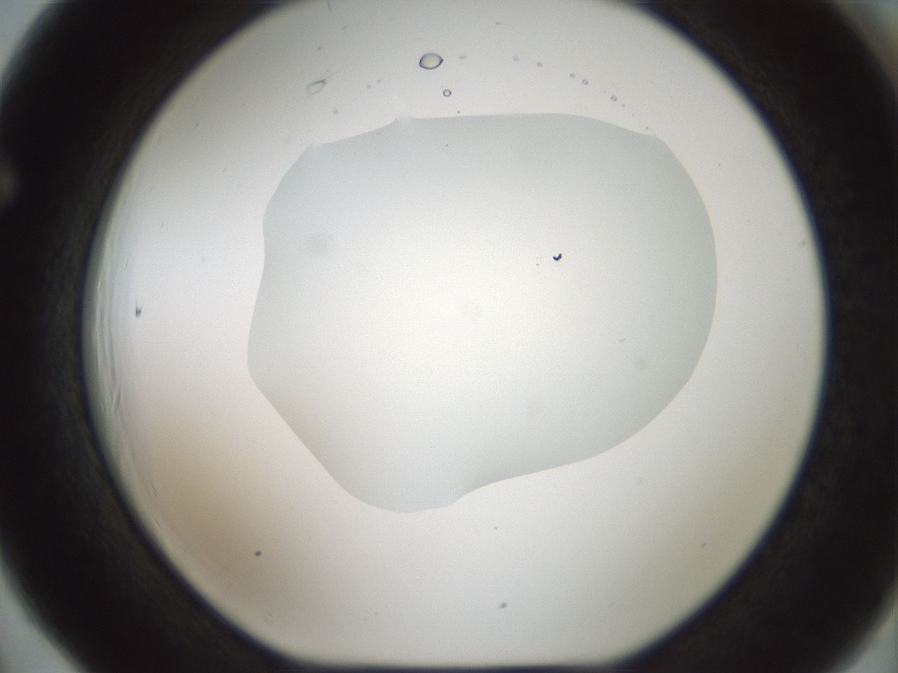 folderID599_plateID1599_batchID6728_wellNum66_profileID1_d1_r106102_ef.jpg