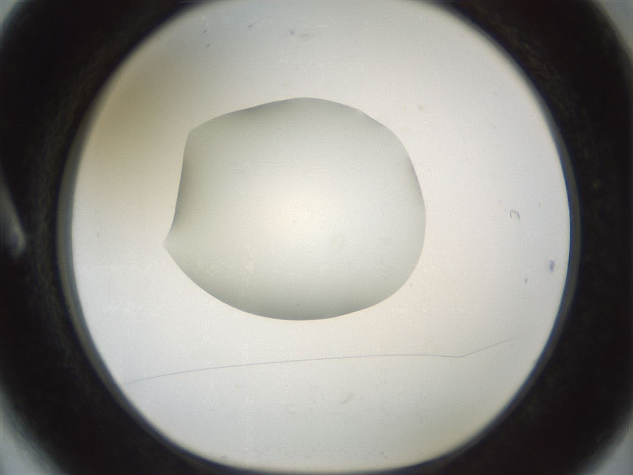 folderID599_plateID1599_batchID6728_wellNum6_profileID1_d1_r105982_ef.jpg