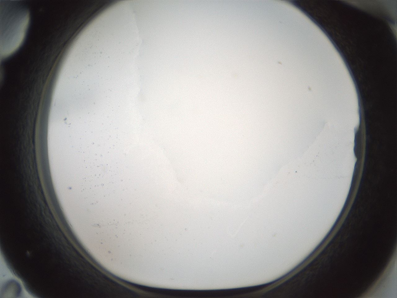 folderID599_plateID1599_batchID6728_wellNum71_profileID1_d1_r106112_ef.jpg