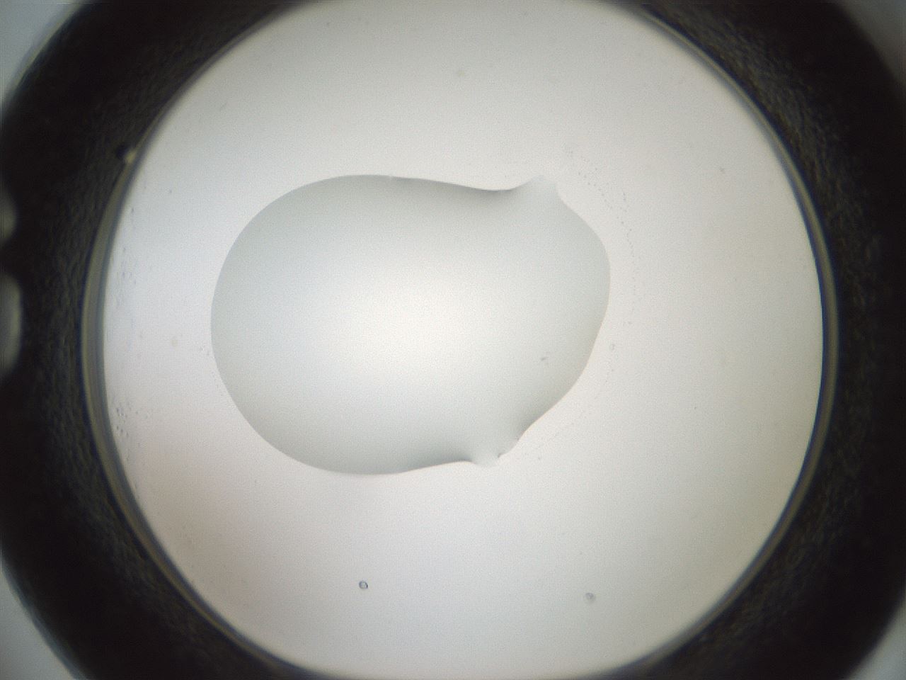folderID599_plateID1599_batchID6728_wellNum73_profileID1_d1_r106116_ef.jpg