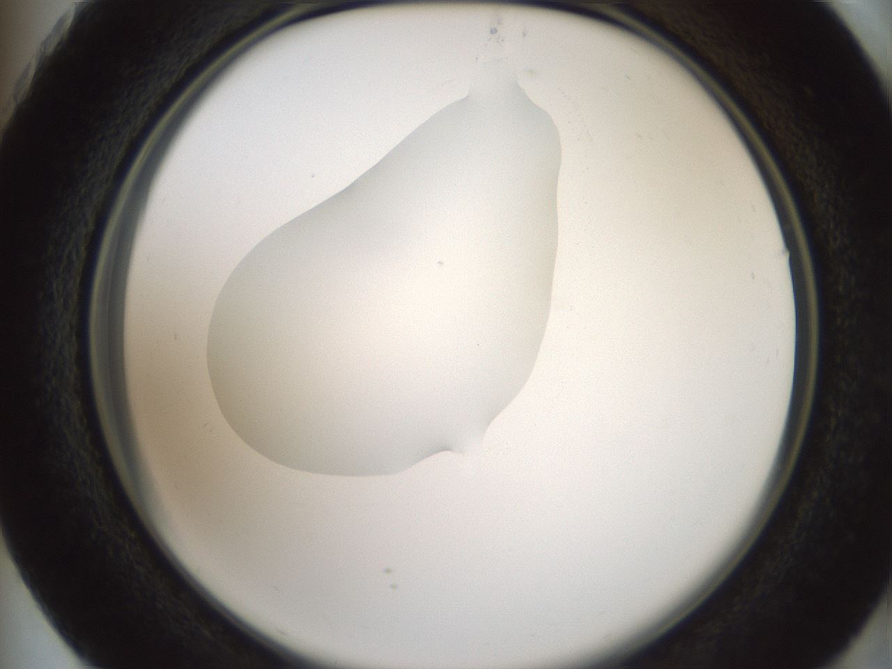 folderID599_plateID1599_batchID6728_wellNum73_profileID1_d2_r106117_ef.jpg