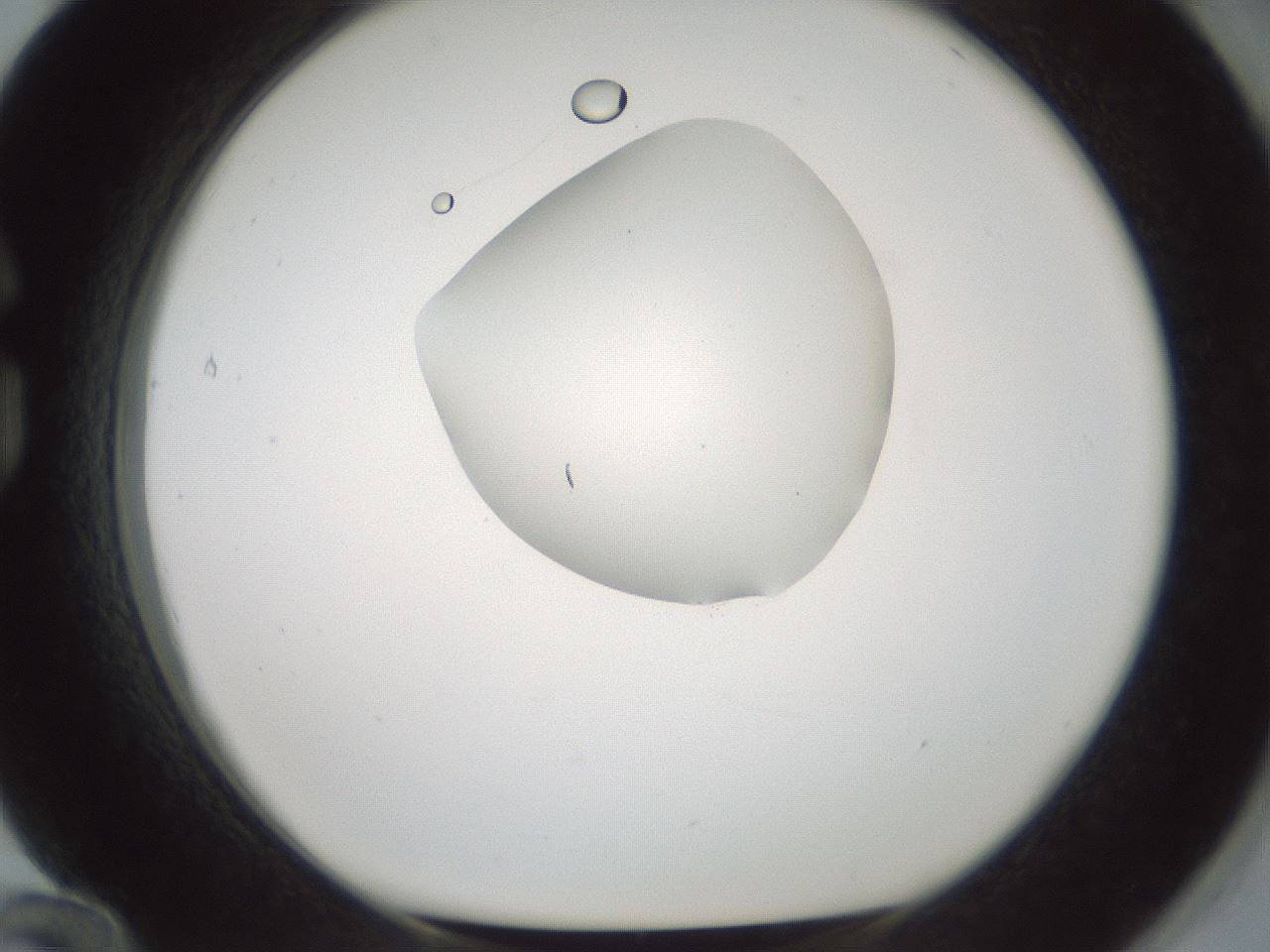 folderID599_plateID1599_batchID6728_wellNum84_profileID1_d1_r106138_ef.jpg