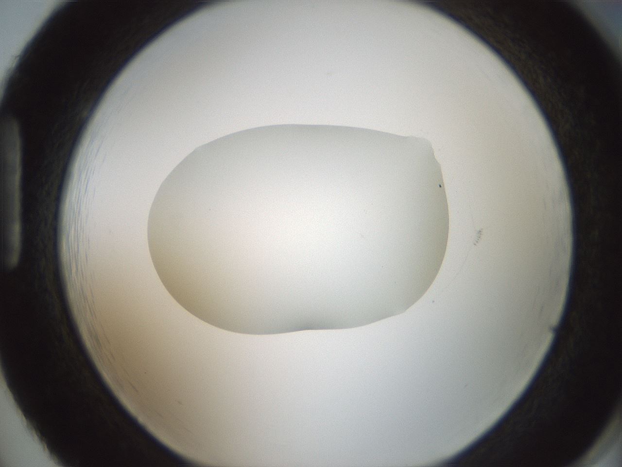 folderID599_plateID1599_batchID6728_wellNum86_profileID1_d1_r106142_ef.jpg