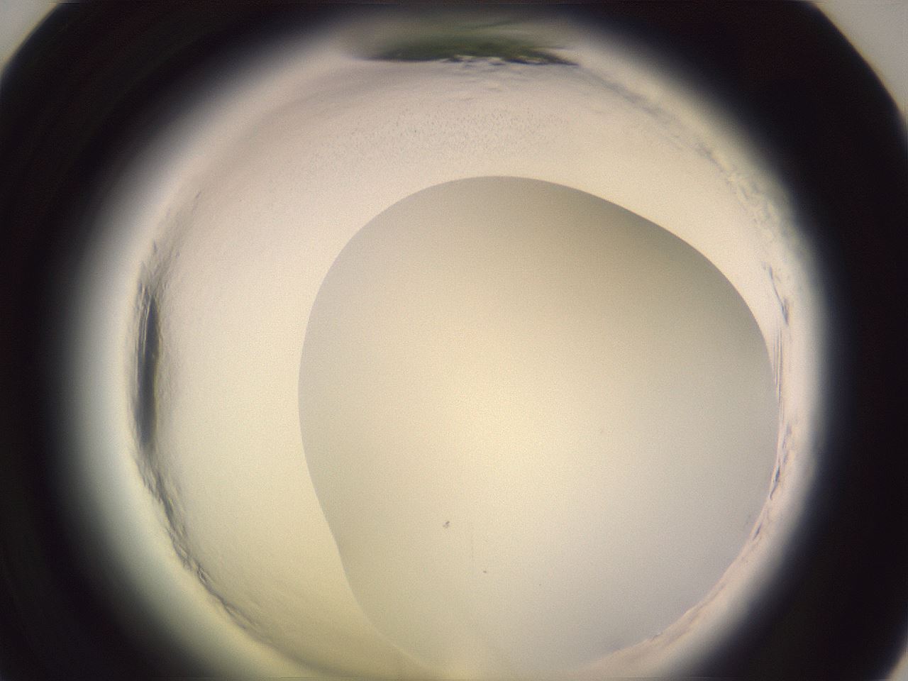 folderID599_plateID2599_batchID13157_wellNum47_profileID1_d1_r198291_ef.jpg