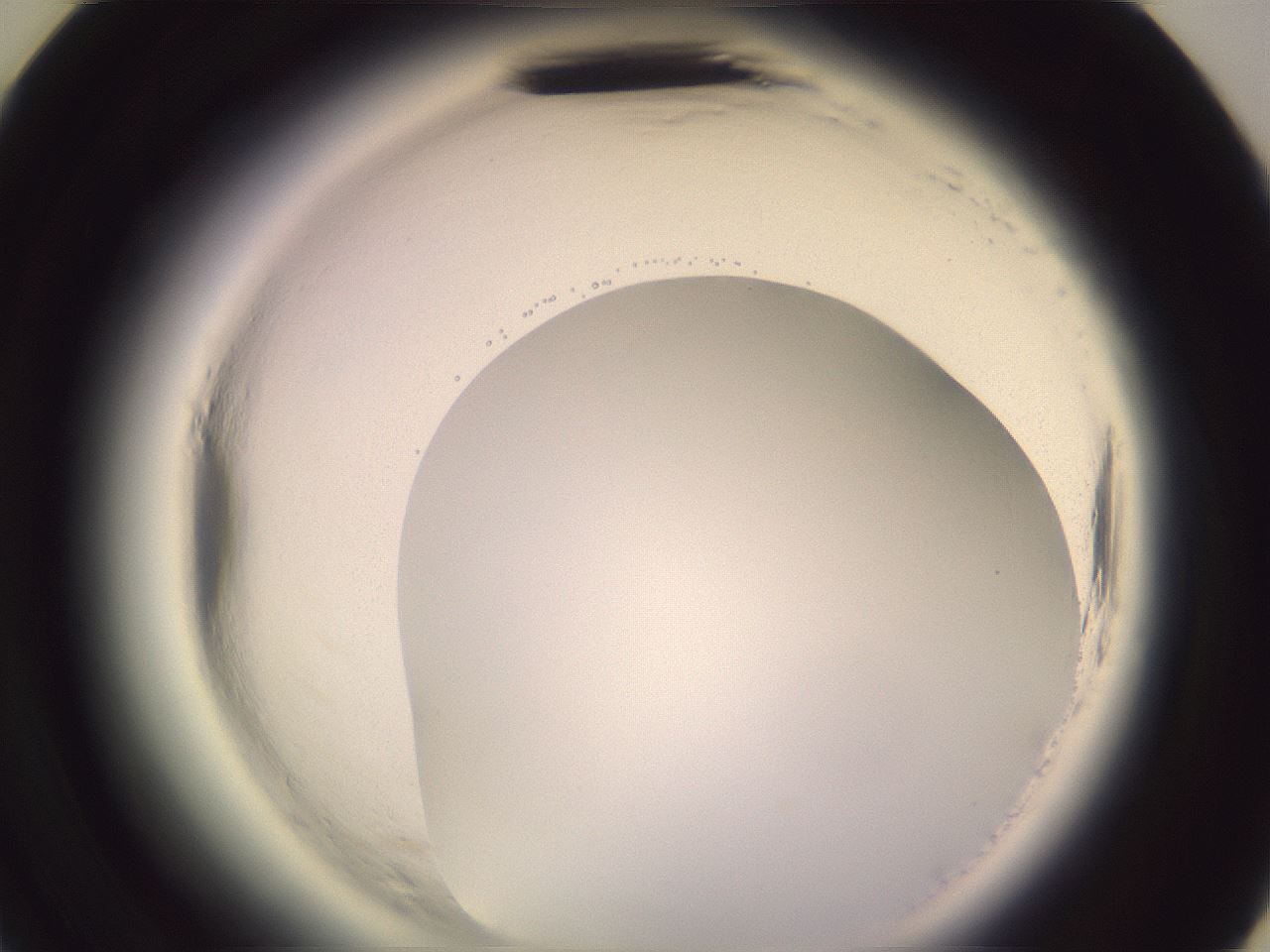 folderID599_plateID2599_batchID13157_wellNum47_profileID1_d3_r198293_ef.jpg