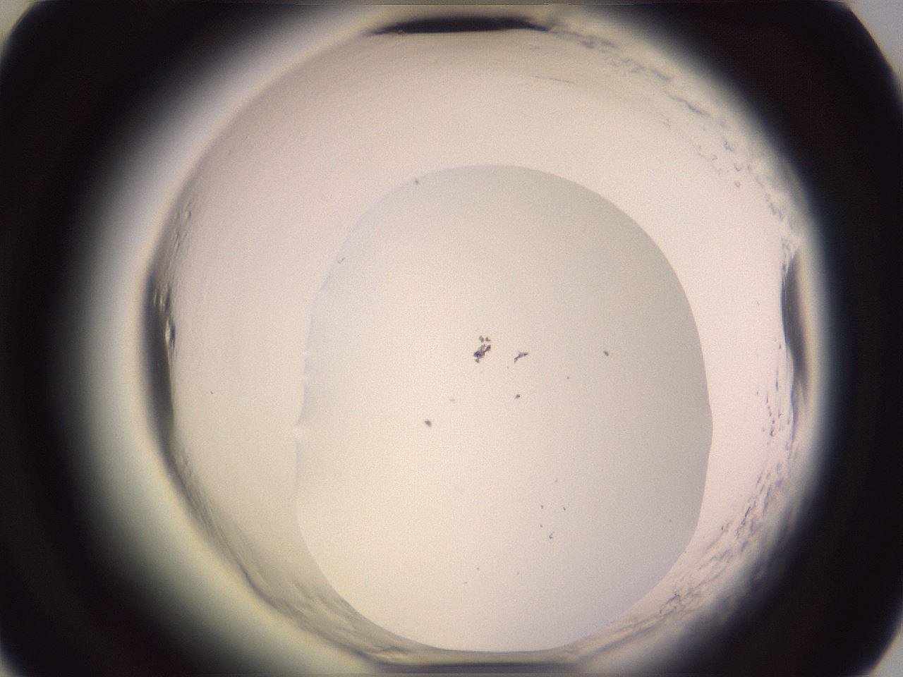 folderID599_plateID2599_batchID13157_wellNum61_profileID1_d2_r198334_ef.jpg
