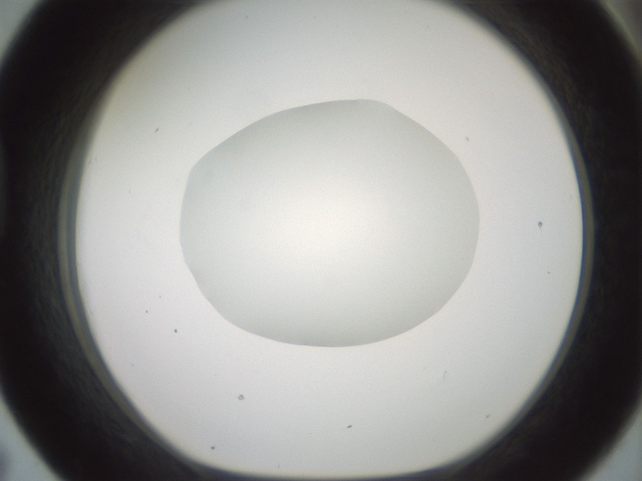 folderID600_plateID1600_batchID6725_wellNum43_profileID1_d1_r105480_ef.jpg