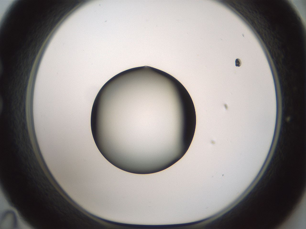 folderID601_plateID1601_batchID6734_wellNum35_profileID1_d1_r107192_ef.jpg