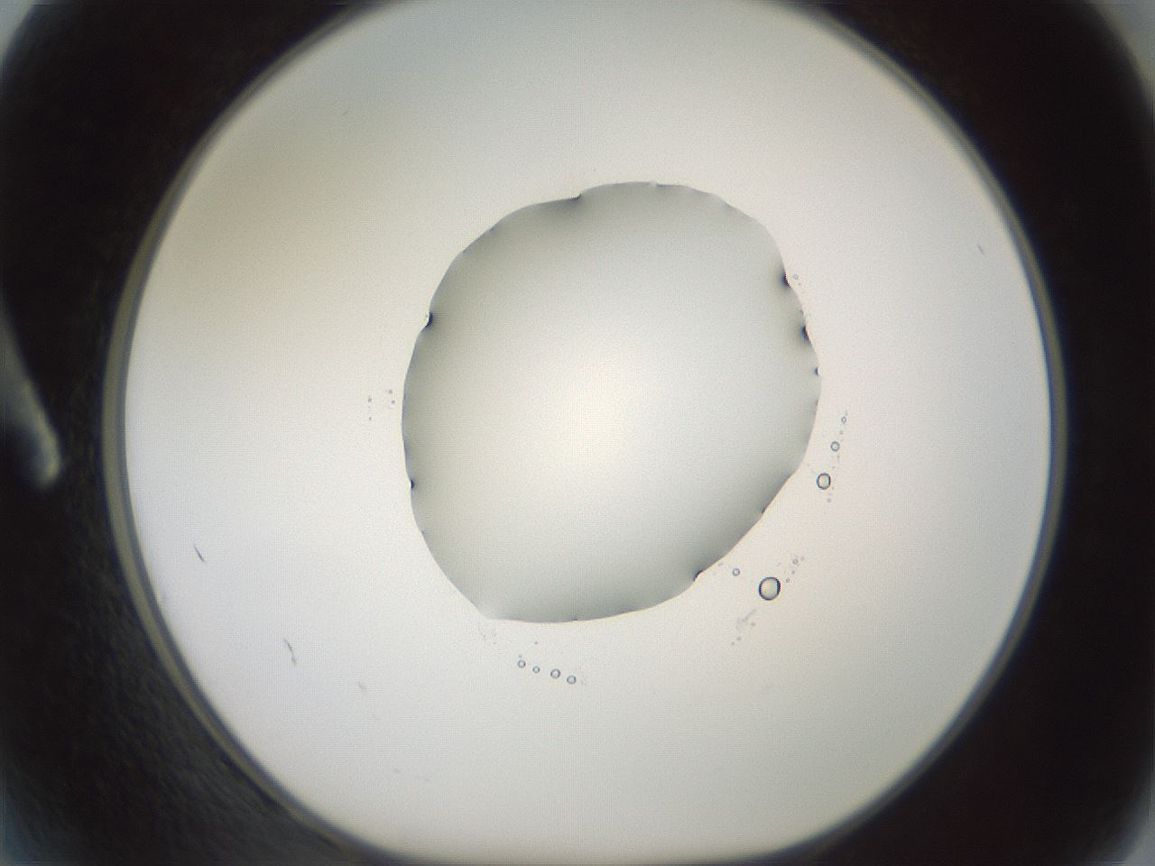 folderID602_plateID1602_batchID6722_wellNum2_profileID1_d1_r104822_ef.jpg