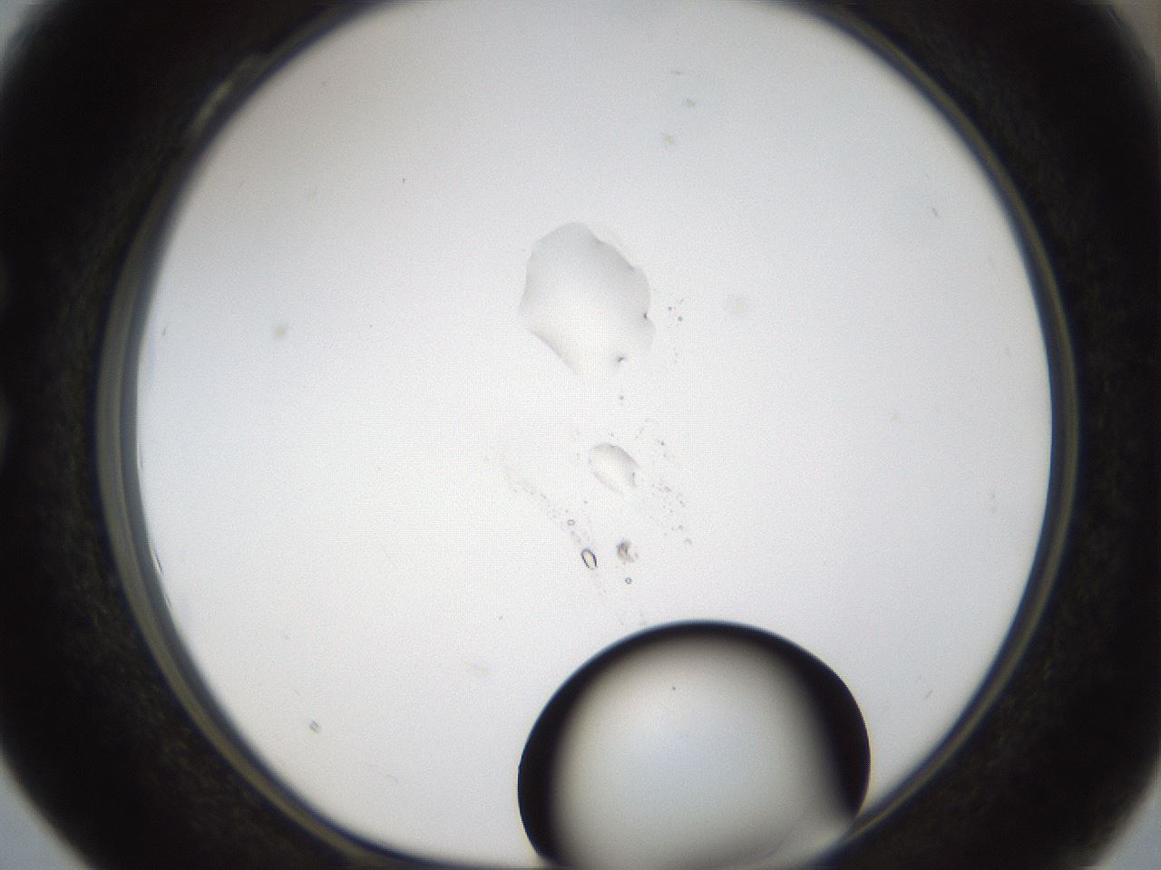 folderID58_plateID1058_batchID2301_wellNum28_profileID1_d1_r47772_ef.jpg