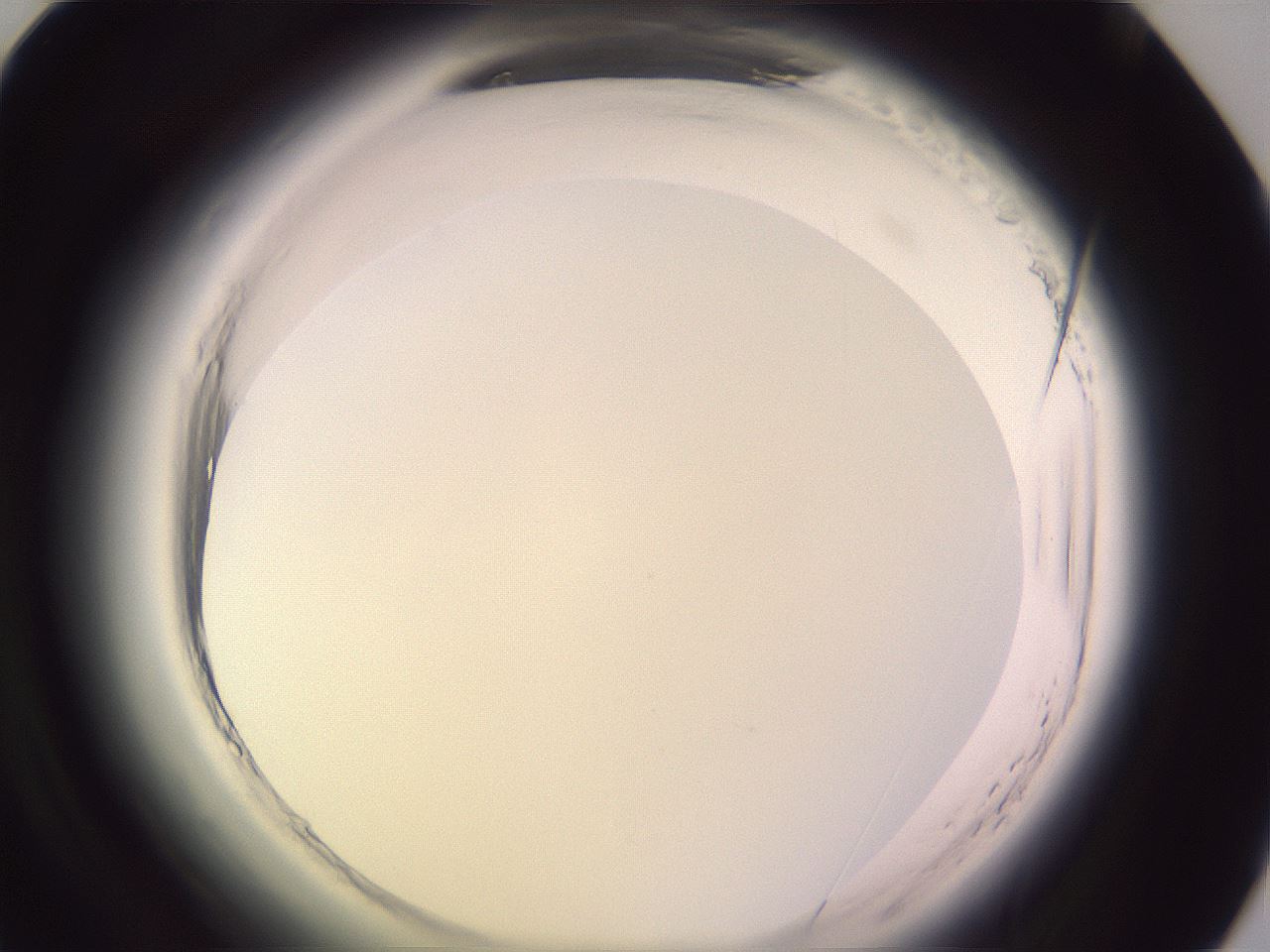 folderID599_plateID2599_batchID13157_wellNum67_profileID1_d1_r198351_ef.jpg