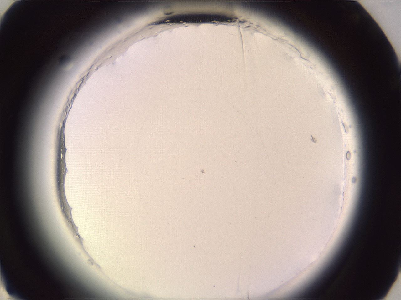 folderID599_plateID2599_batchID13157_wellNum68_profileID1_d3_r198356_ef.jpg