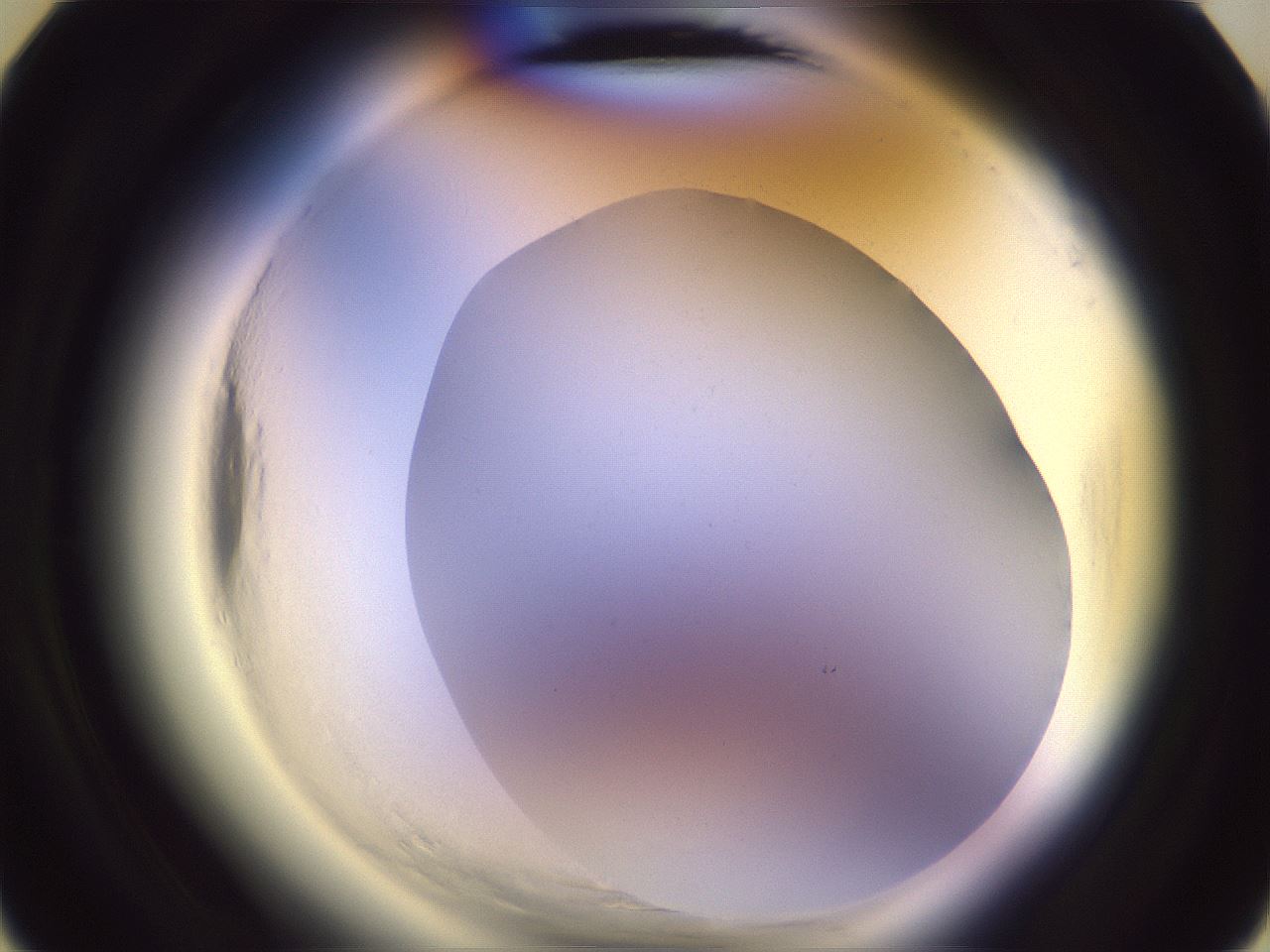 folderID599_plateID2599_batchID13157_wellNum6_profileID1_d3_r198170_ef.jpg