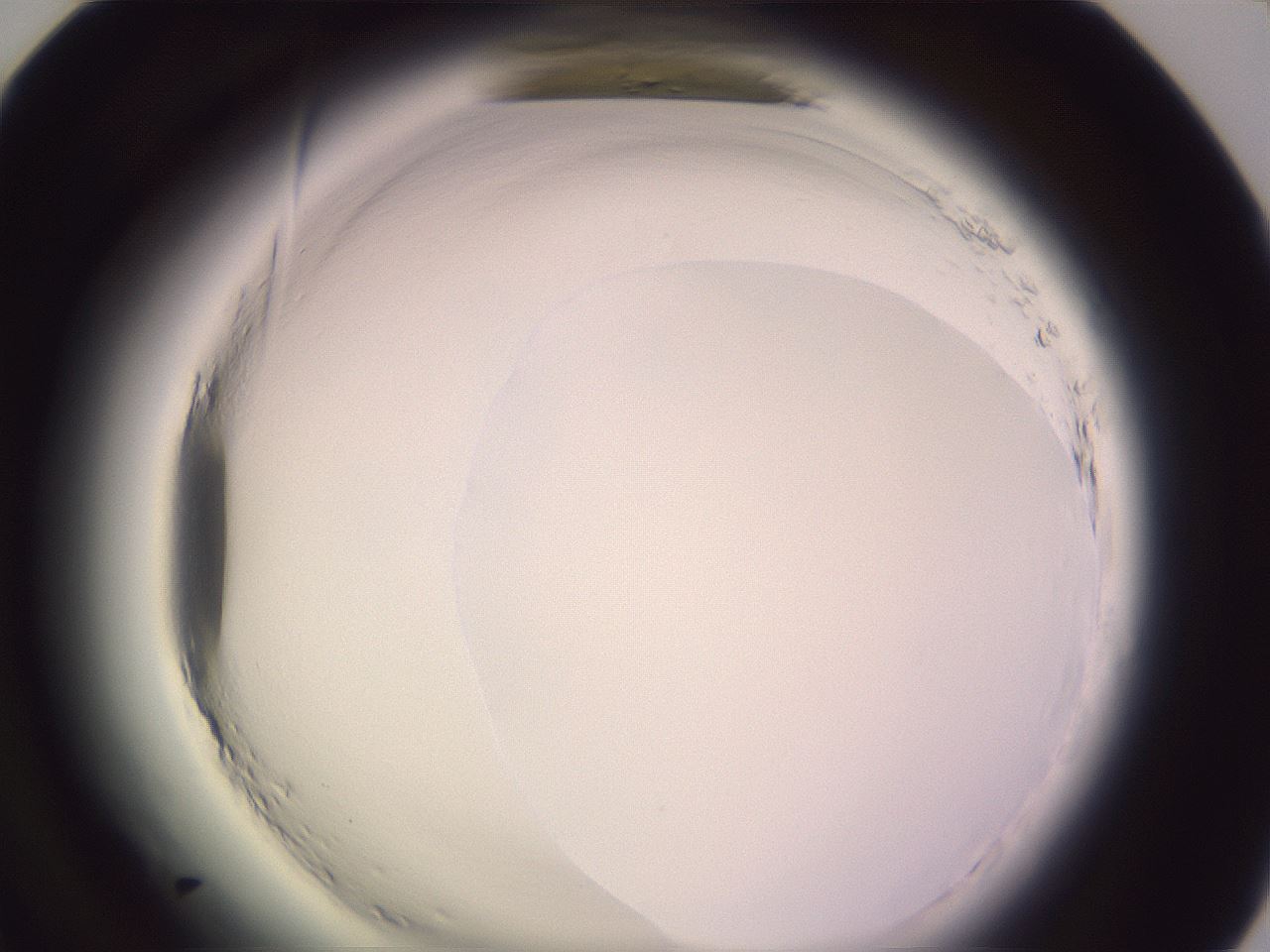 folderID599_plateID2599_batchID13157_wellNum72_profileID1_d1_r198366_ef.jpg