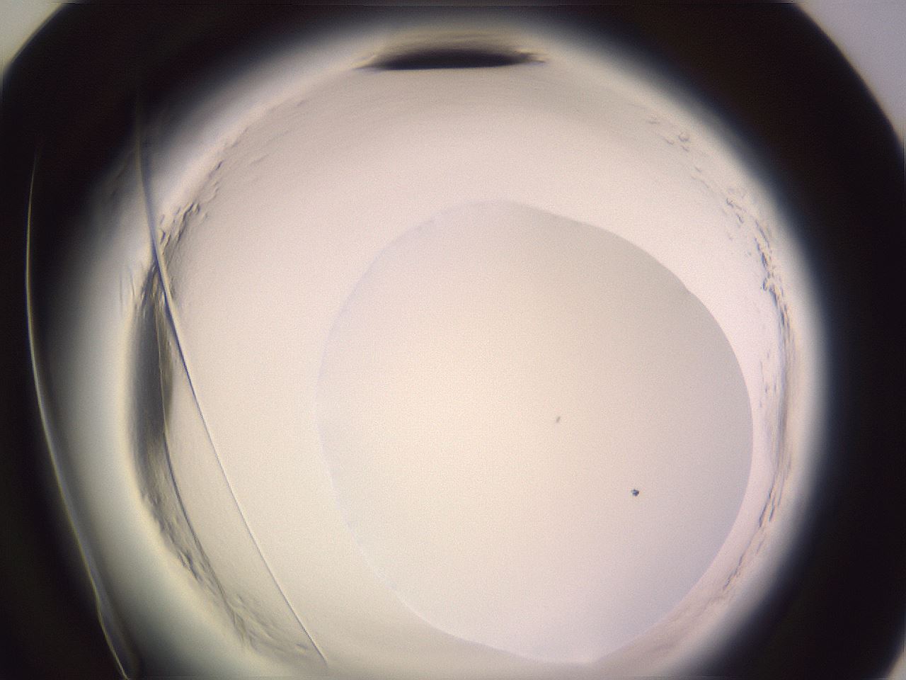folderID599_plateID2599_batchID13157_wellNum72_profileID1_d2_r198367_ef.jpg
