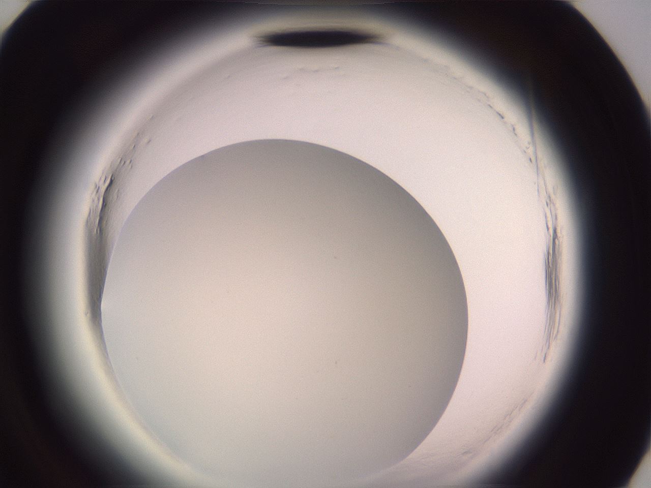 folderID599_plateID2599_batchID13157_wellNum82_profileID1_d3_r198398_ef.jpg