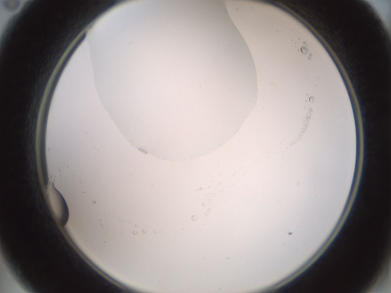 folderID600_plateID1600_batchID6725_wellNum11_profileID1_d2_r105417_ef.jpg