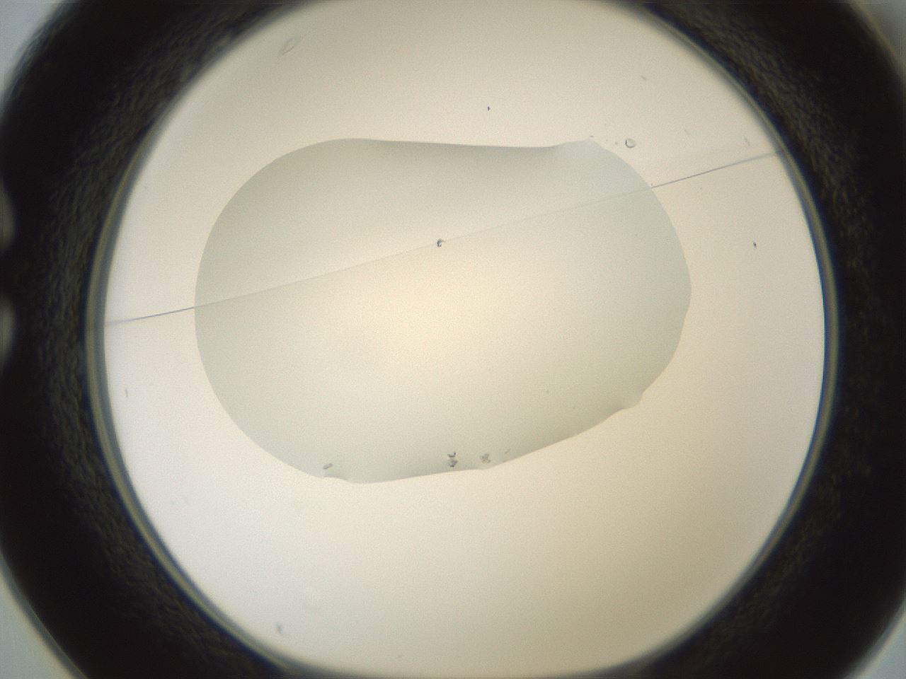 folderID600_plateID1600_batchID6725_wellNum25_profileID1_d1_r105444_ef.jpg