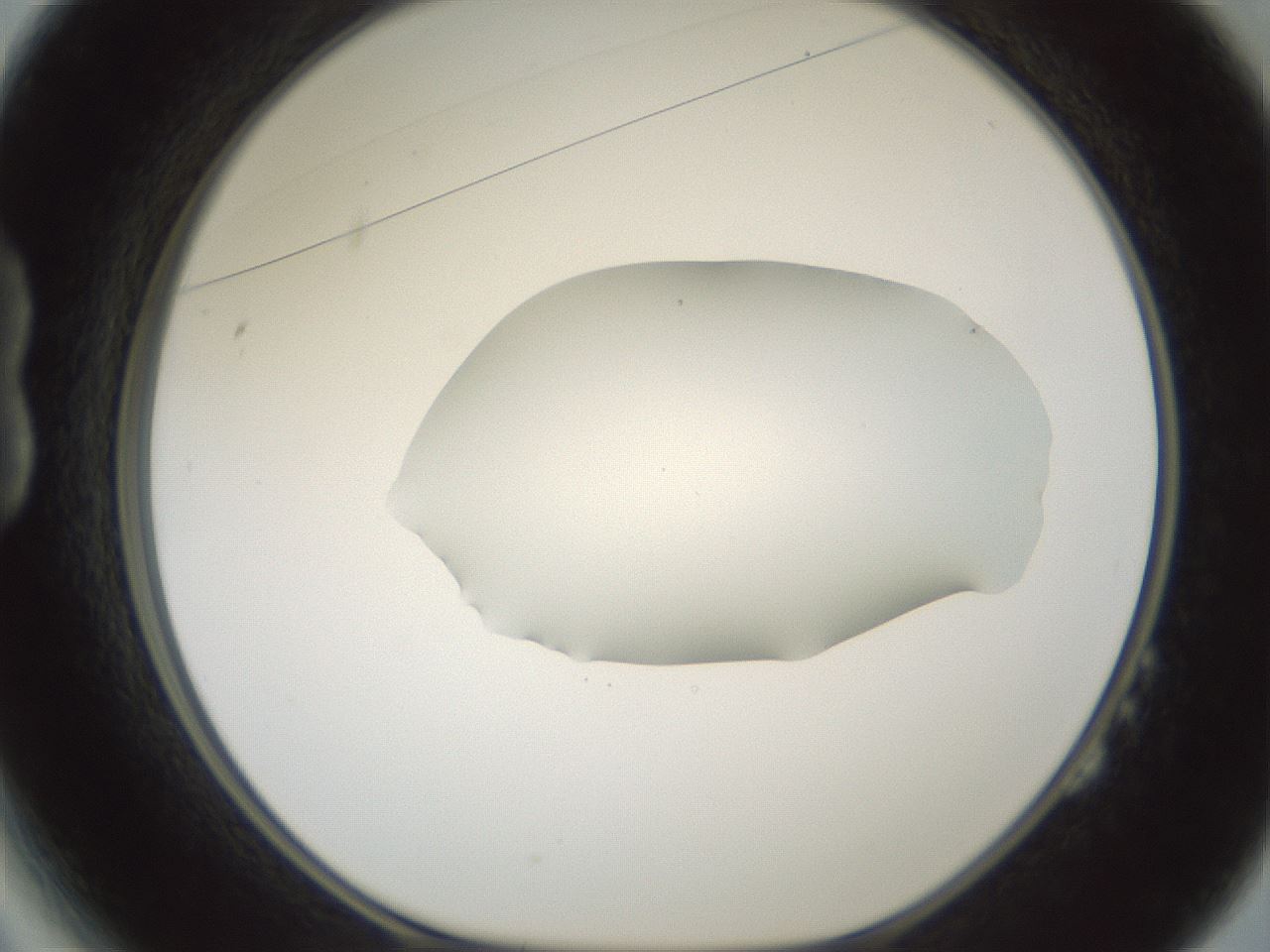 folderID600_plateID1600_batchID6725_wellNum14_profileID1_d1_r105422_ef.jpg