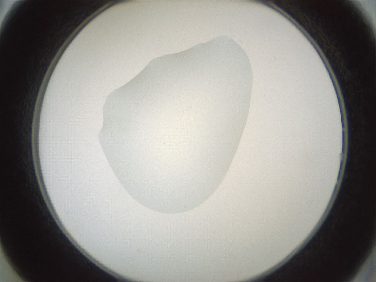 folderID600_plateID1600_batchID6725_wellNum14_profileID1_d2_r105423_ef.jpg