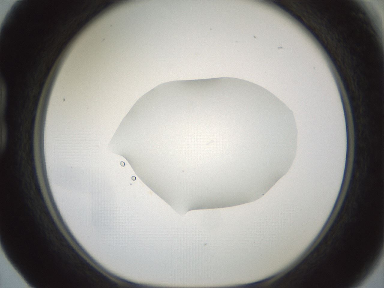 folderID600_plateID1600_batchID6725_wellNum17_profileID1_d1_r105428_ef.jpg